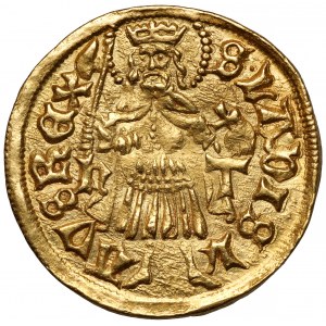 Węgry, Maciej Korwin (1458-1490) Goldgulden bez daty h-T (1482-1489)
