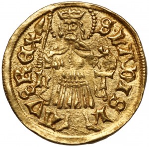 Hungary, Matthias Corvinus (1458-1490) Goldgulden without date h-T (1482-1489)