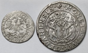 Sigismondo II Augusto, mezzo penny Vilnius 1564 e Sigismondo III Vasa, Ort Danzica 1623 - set (2 pezzi)