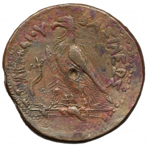 Grecja, Egipt, Ptolemeusz IV Filopator (221-204 p.n.e.) Drachma