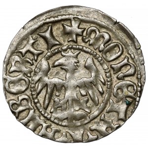 Jan Olbracht, Półgrosz Kraków - Poraj - długi dziób