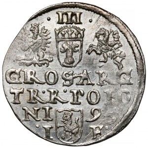Sigismondo III Vasa, Trojak Olkusz 1595