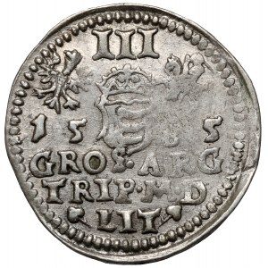 Stefan Batory, Trojak Wilno 1585 - herb Lis