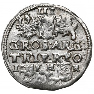 Zygmunt III Waza, Trojak Poznań 1597 - kwiat