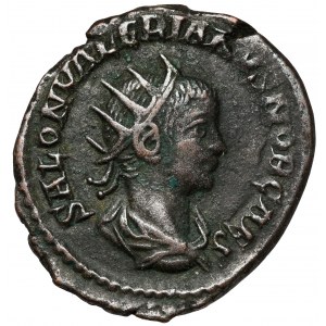 Saloninus (258-260 n.e.) Antoninian, Samosata