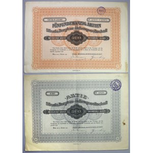 Zakłady Górnicze SILESIA (Silesia Bergbau), 200 kr i 5x 200 kr 1922 (2szt)