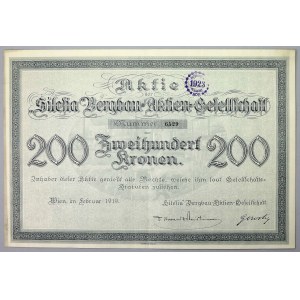 Zakłady Górnicze SILESIA (Silesia Bergbau), 200 kr 1919