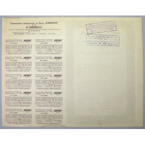 Tow. Ubezpieczeń VARSOVIA, Świadectwo tymczasowe 250 mkp 1920