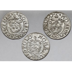Zygmunt III Waza, Półtorak Bydgoszcz 1622-1624 - zestaw (3szt)
