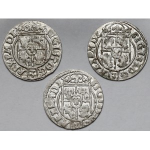 Zygmunt III Waza, Półtorak Bydgoszcz 1622-1624 - zestaw (3szt)