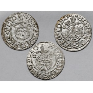 Zygmunt III Waza, Półtorak Bydgoszcz 1622-1624 - zestaw (3szt)
