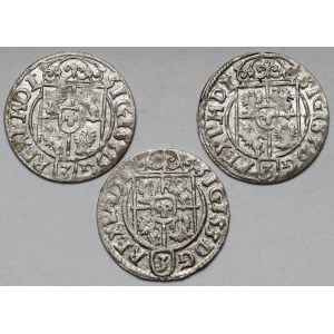 Zygmunt III Waza, Półtorak Bydgoszcz 1622-1624 - zestaw (3szt)