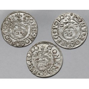 Zygmunt III Waza, Półtorak Bydgoszcz 1622-1624 - zestaw (3szt)