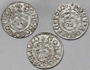 Sigismondo III Vasa, mezzo binario Bydgoszcz 1622-1624 - set (3 pezzi)