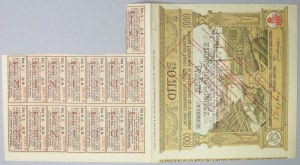 OIKOS Union drevársky priemysel a stavebníctvo, 1 000 mkp 1920
