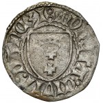 Kazimierz IV Jagiellończyk, Szeląg Gdańsk - orzeł BEZ korony