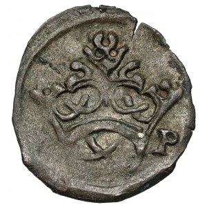 Zygmunt I Stary, Denar Kraków bez daty (1527-29) - SP i szable