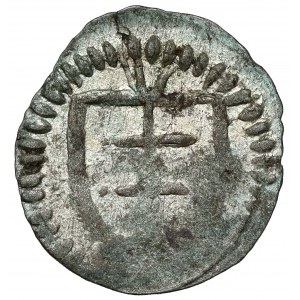 Władysław II Jagiełło, Denar Wschowa - litera V - b.rzadki