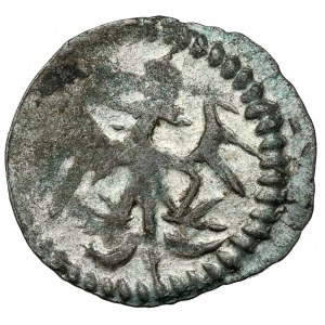 Władysław II Jagiełło, Denar Wschowa - litera V - b.rzadki