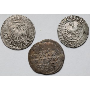 Kazimierz IV Jagiellończyk, Jan Olbracht i Zygmunt III Waza - rzadsze (3szt)