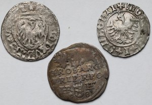 Kazimierz IV Jagiellończyk, Jan Olbracht i Zygmunt III Waza, Szeląg, Półgrosz i Trojak - zestaw (3szt)