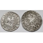 Aleksander Jagiellończyk, Półgrosz Kraków i Zygmunt II August, Półgrosz Wilno 1555 - zestaw (2szt)