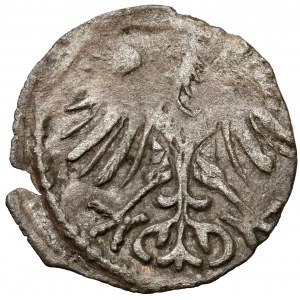 Zygmunt II August, Denar Wilno 1553