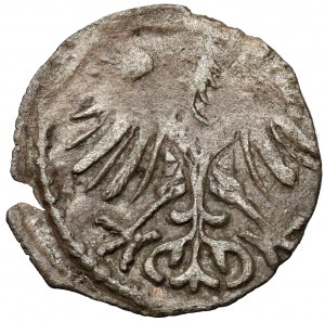 Zikmund II Augustus, Vilniuský denár 1553