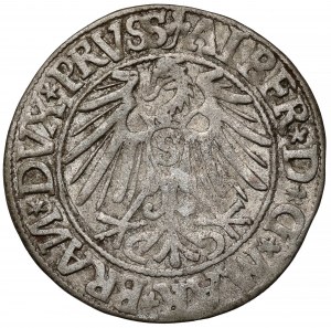 Prussia, Albrecht Hohenzollern, Grosz Königsberg 1544