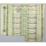 Łódź, TKM, 5% List zastawny Ser.VII, 100 rubli 1919 - RZADKI