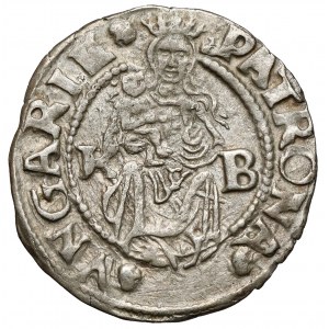 Węgry, Ferdynand I, Denar 1544 KB, Kremnica