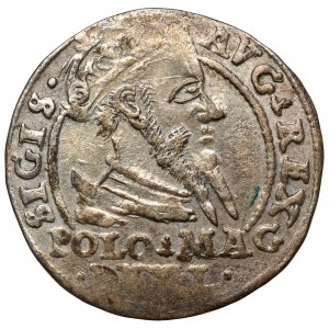 Zygmunt II August, Grosz na stopa polską 1567, Tykocin