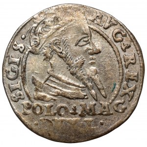 Zygmunt II August, Grosz na stopę polską 1567, Tykocin