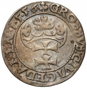 Sigismund II Augustus, Gdansk penny 1556 - split beard