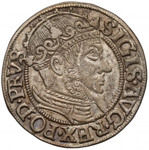 Sigismondo II Augusto, Grosz Gdańsk 1557