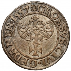 Sigismondo II Augusto, Grosz Gdańsk 1557