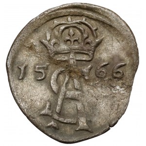 Zygmunt II August, Dwudenar Wilno 1566