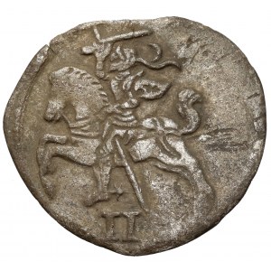 Zygmunt II August, Dwudenar Wilno 1566