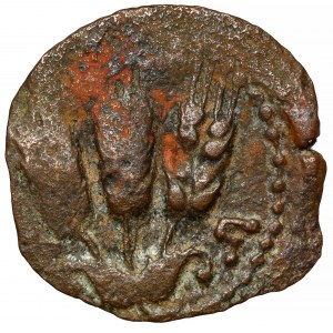 Judaea, Agryppa I (37-44 n.e.) Prutah, Jerozolima - PIĘKNY