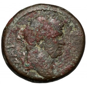 Tytus (79-81 n.e.) AE24, - Judaea - Caesarea Maritima - b.rzadki