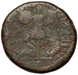 Titus (79-81 AD) AE24, - Judaea - Caesarea Maritima - b.rare