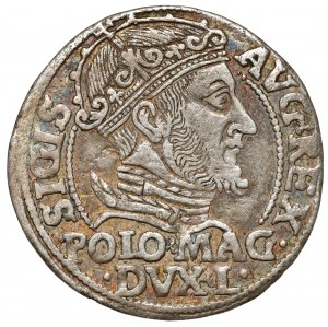 Sigismund II Augustus, Grosz per Polish foot 1548, Vilnius