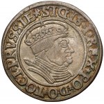 Zygmunt I Stary, Grosz Toruń 1534 - w czepcu