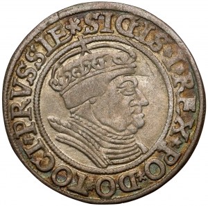Sigismund I the Old, Torun penny 1534 - in a cap