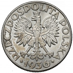 Veliero 5 oro 1936