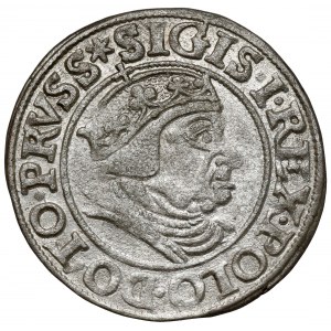 Zygmunt I Stary, Grosz Gdańsk 1538