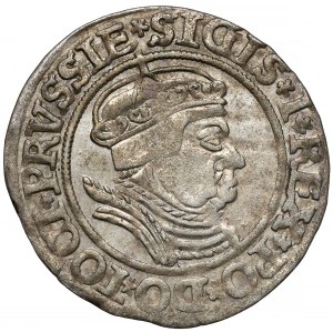 Zikmund I. Starý, Grosz Toruń 1535
