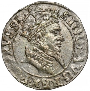 Sigismund II Augustus, Gdansk penny 1556 - PRVSSI