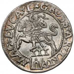Sigismund II Augustus, Vilnius Troika 1562 - large Pogon