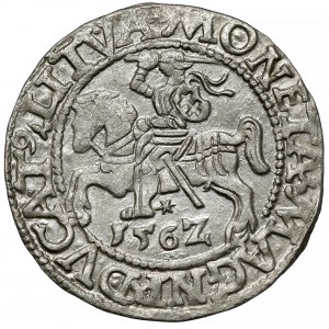 Zygmunt II August, Półgrosz Wilno 1562 - wczesny